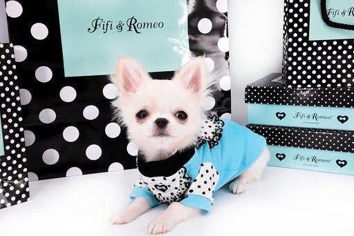 Fifi ＆Romeo - 犬用品