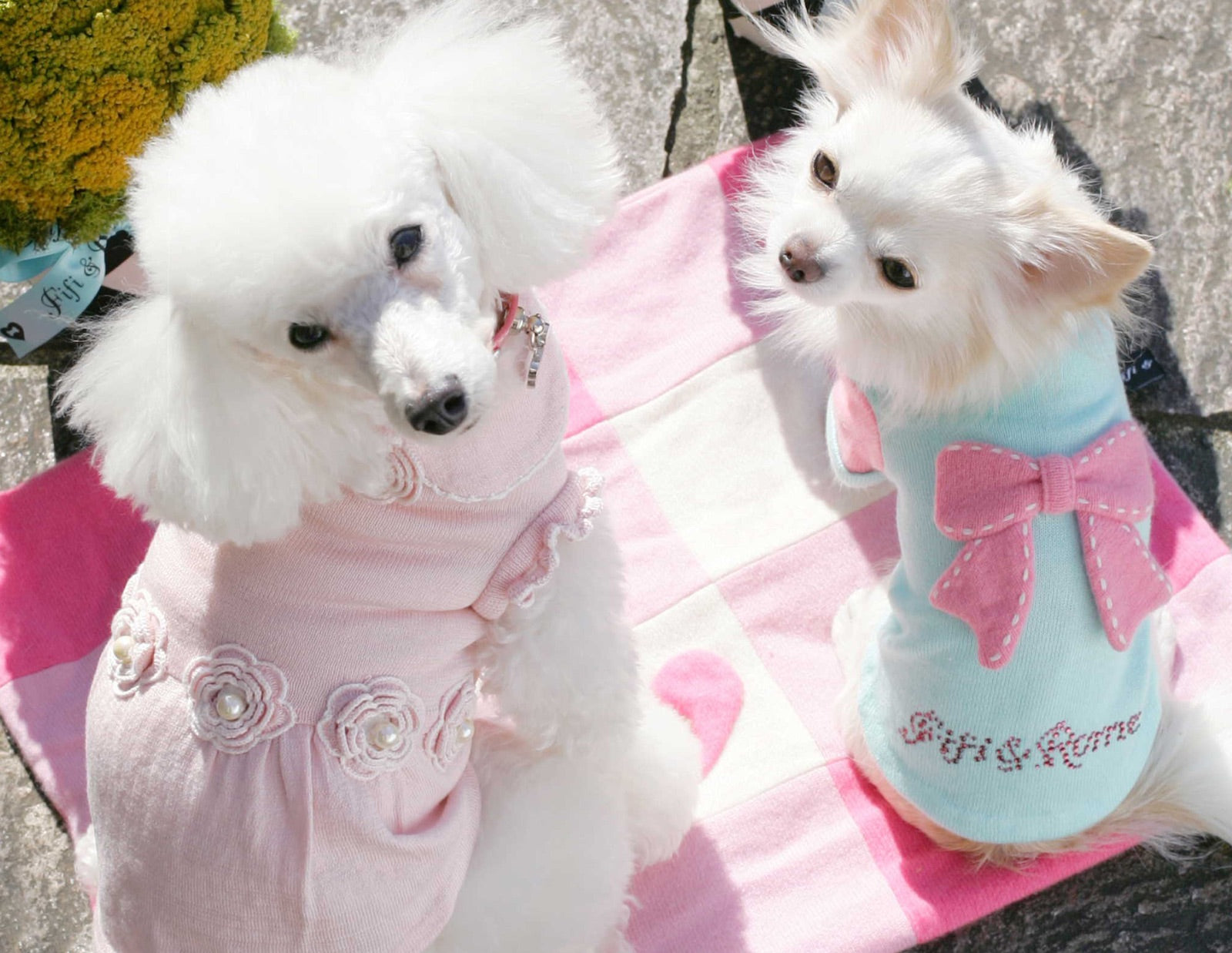 4DD1B4DA-811F-418F-A39E- 4DD1B4DA-811F-418F-A39E-